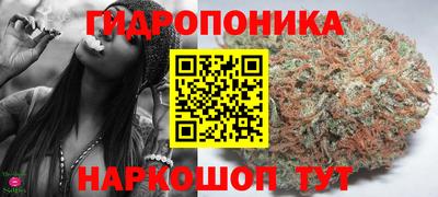 ALPHA PVP Малгобек