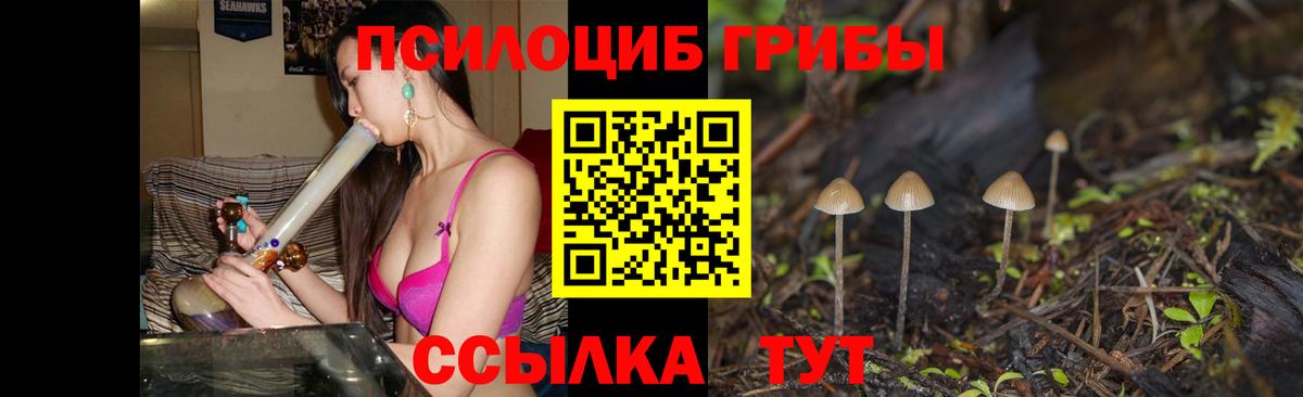 Сыктывкар  Псилоцибиновые грибы MAGIC MUSHROOMS  Вход с VPN 